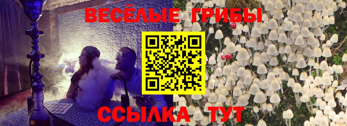 Галлюциногенные грибы мухоморы  Вход с VPN  Кириши  Псилоцибиновые грибы MAGIC MUSHROOMS 