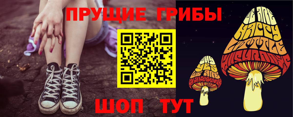 Псилоцибиновые грибы мицелий Кириши
